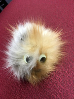 September 04, 2018-2