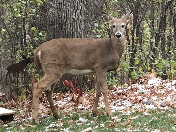 November 07, 2018-2-3