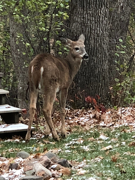 November 07, 2018-2-2