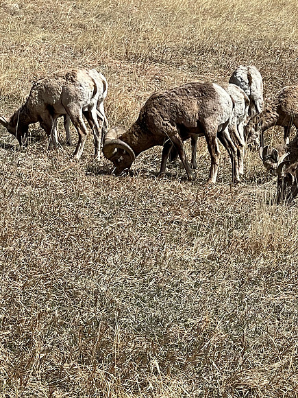 IMG_0872