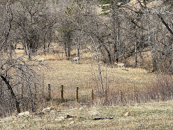 IMG_0866