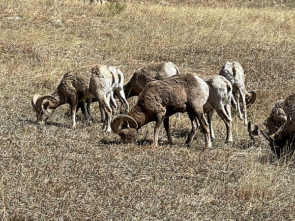 IMG_0873